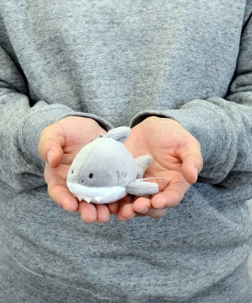 nici キーホルダー NICI/キーホルダー オーシャンフレンズ ホホジロザメ 10cm - 画像 (4)