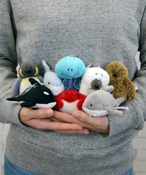 nici キーホルダー NICI/キーホルダー オーシャンフレンズ ホホジロザメ 10cm - 画像 (5)