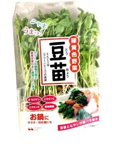 【朝市場直行】山梨県ほか 豆苗(袋)約250g【冷蔵】