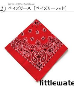 バンダナ ハンカチ ペイズリー HAV-A-HANK ハバハンク made in USA KC,s ケーシーズ ケイシイズ havahank