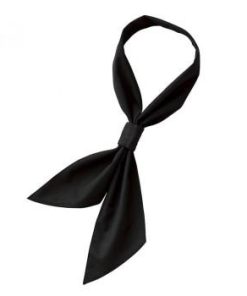 アイトス ループタイ ブラック F HS3513