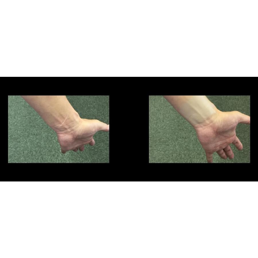 BANDEL CAXEL カクセル タトゥー隠し シールタイプ L3枚入り / M4枚入り - 画像 (3)