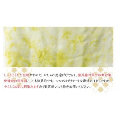 ふるさと納税 勝山市 【草木染め】羽二重ストール 黄緑 叢雲染め - 画像 (2)